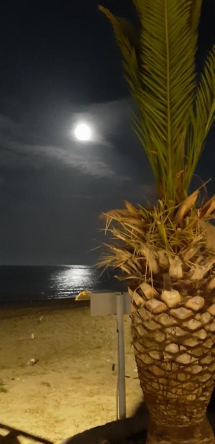 Sea View Apartments Aphrodite เลปโตการายา ภายนอก รูปภาพ